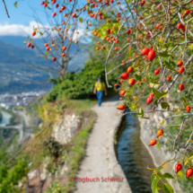 Bisse-de-Clavau-0067-Suonenwanderung