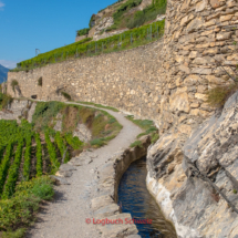 Bisse-de-Clavau-0069-Suonenwanderung