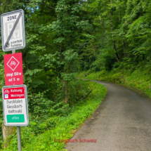 Brienzersee Fahrradtour, Iseltwald, Giessbachfälle