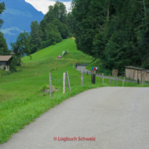 Brienzersee Fahrradtour, Iseltwald, Giessbachfälle