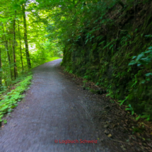 Brienzersee Fahrradtour, Iseltwald, Giessbachfälle