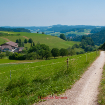 Emmental Fahrradtour