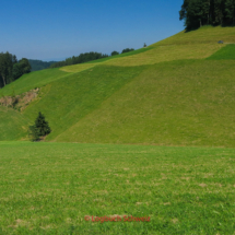 Emmental Fahrradtour