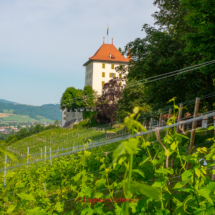 Freiamt-Fahrradtour-0004