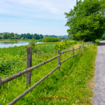 Freiamt-Fahrradtour-0019