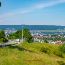 Freiamt-Fahrradtour-0028