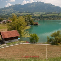 GoldenPass Line - Sarner See