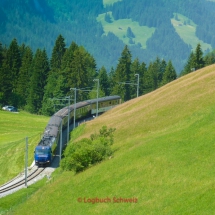 GoldenPass Line