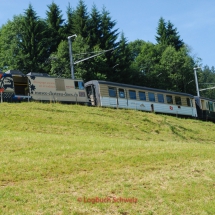 GoldenPass Line