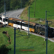 GoldenPass Line