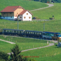 GoldenPass Line