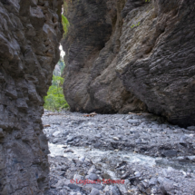 Grand-Bisse-de-Lens-0024-Suonenwanderung