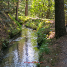 Grand-Bisse-de-Lens-0083-Suonenwanderung