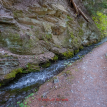 Grand-Bisse-de-Lens-0091-Suonenwanderung