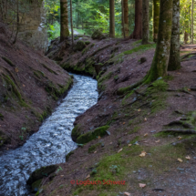 Grand-Bisse-de-Lens-0093-Suonenwanderung