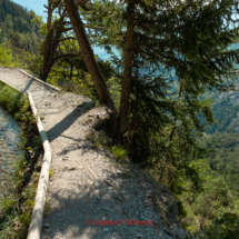 Grand-Bisse-de-Lens-0162-Suonenwanderung