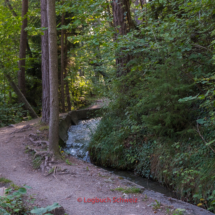 Grand-Bisse-de-Lens-0183-Suonenwanderung