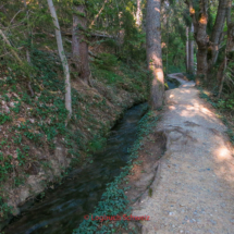 Grand-Bisse-de-Lens-0186-Suonenwanderung