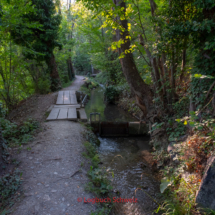 Grand-Bisse-de-Lens-0202-Suonenwanderung