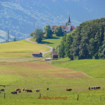 Gruyère Ort, Region, Käse, Stausee