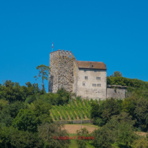 Habsburg im Aargau