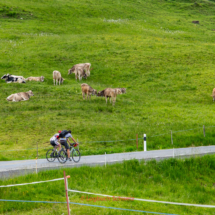 Ibergeregg Fahrradtour