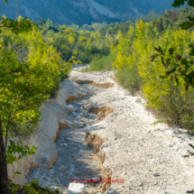 Illgraben-Pfynnwald