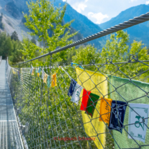 Illgraben-Pfynnwald-Bhutanbrücke