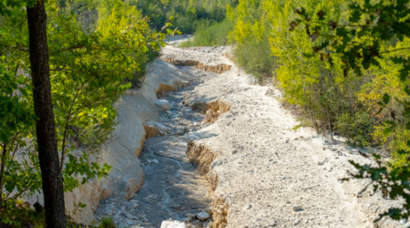Illgraben-Pfynnwald