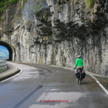 Interlaken-Thunersee-Ufer