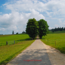 Jura-Nord-0109-Fahrradtour