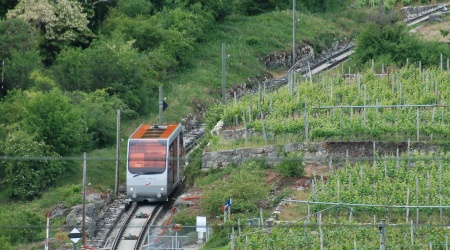 Jura Südfuss, Vinifuni