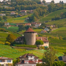 Lavaux Weinberge