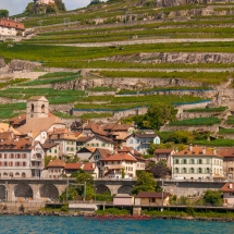 Lavaux Weinberge