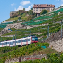 Lavaux Weinberge