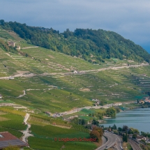 Lavaux Weinberge