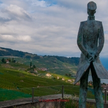 Lavaux Weinberge