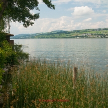 Sempacher See