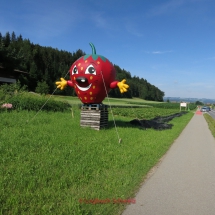 Willisau mit dem Fahrrad