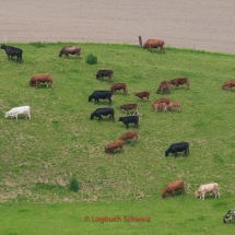 Napfbergland mit dem Fahrrad, rund um den Napf