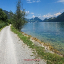 Vierwaldstätter See, Alpnacher See