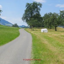 Obersee, Hirzel, Sihltal