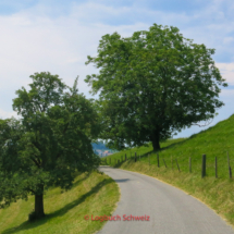 Obersee, Hirzel, Sihltal