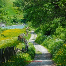 Vorderrhein, Surselva, Radtour