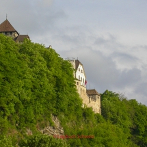 Rhein-Fahrradtour-0204-Alpenrhein