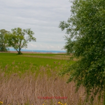 Rhein-Fahrradtour-0224-Alpenrhein