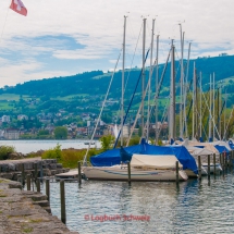 Rhein-Fahrradtour-0318-Bodensee