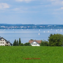 Rhein-Fahrradtour-0342-Bodensee