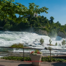 Rhein-Fahrradtour-0445-Seerhein-Rheinfall