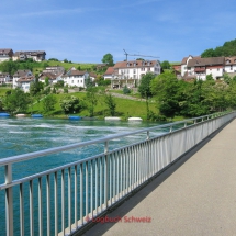 Rhein-Fahrradtour-0525-Hochrhein-Basel